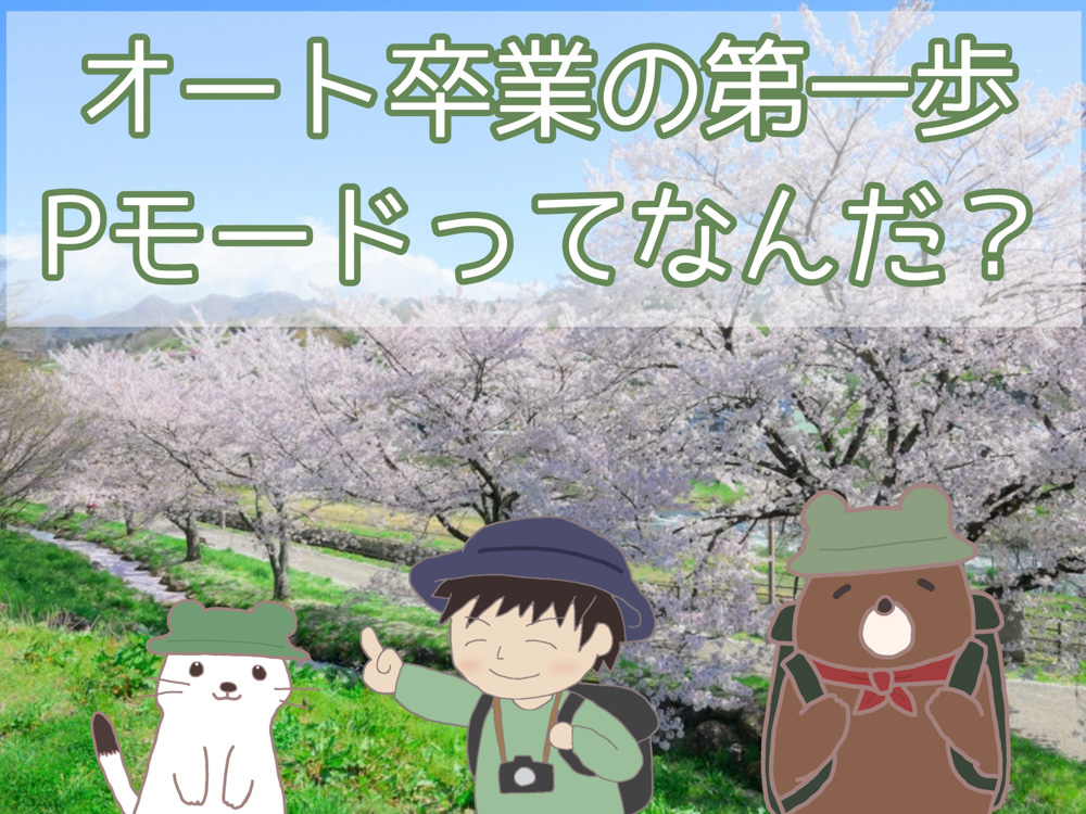 Pモードとは？を紹介する記事のアイキャッチ画像。桜並木とうっちー・クマさん・オコちゃん
