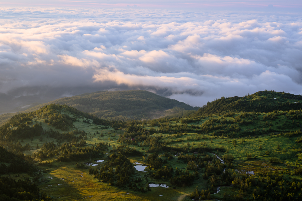 志賀高原の雲海と朝焼けの湿原を撮影した登山風景写真