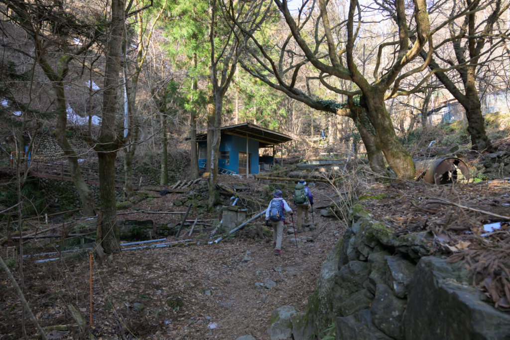 ストックを使いながら下山道を歩く登山者の後ろ姿。落ち葉の積もる山道
