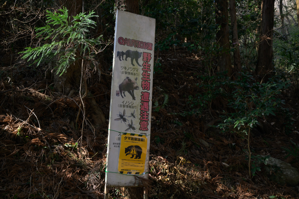 宝登山・長瀞アルプス登山口の野生生物注意看板(熊や蜂に注意)