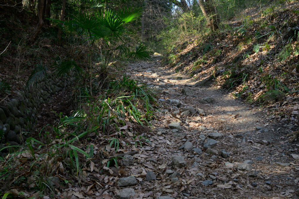 岩が多く足元に注意が必要な長瀞アルプスの登山道