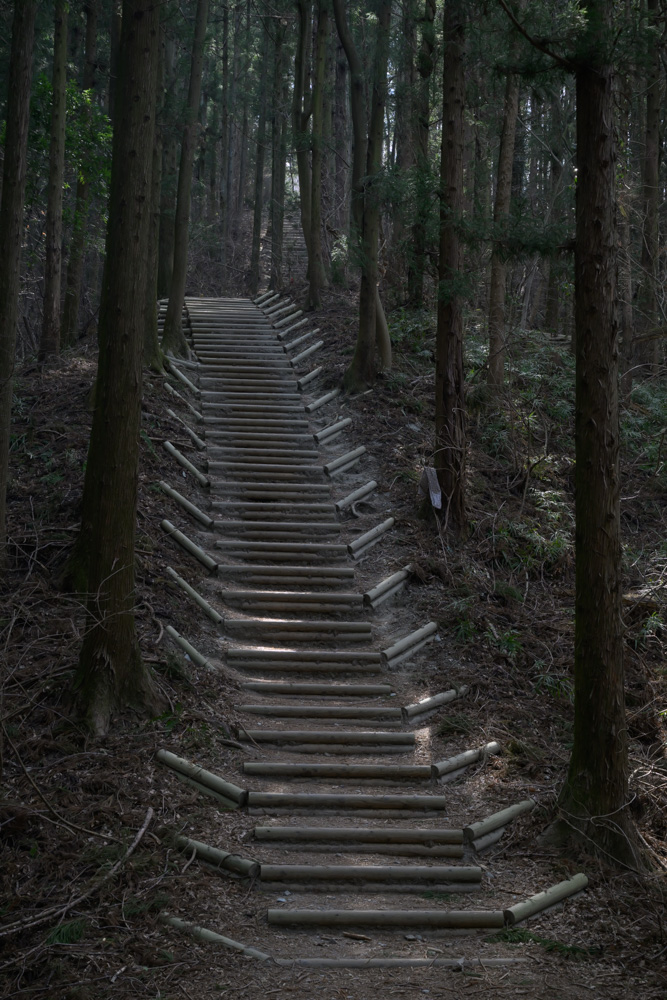宝登山山頂前に続く長い階段(約200段の急な登り)