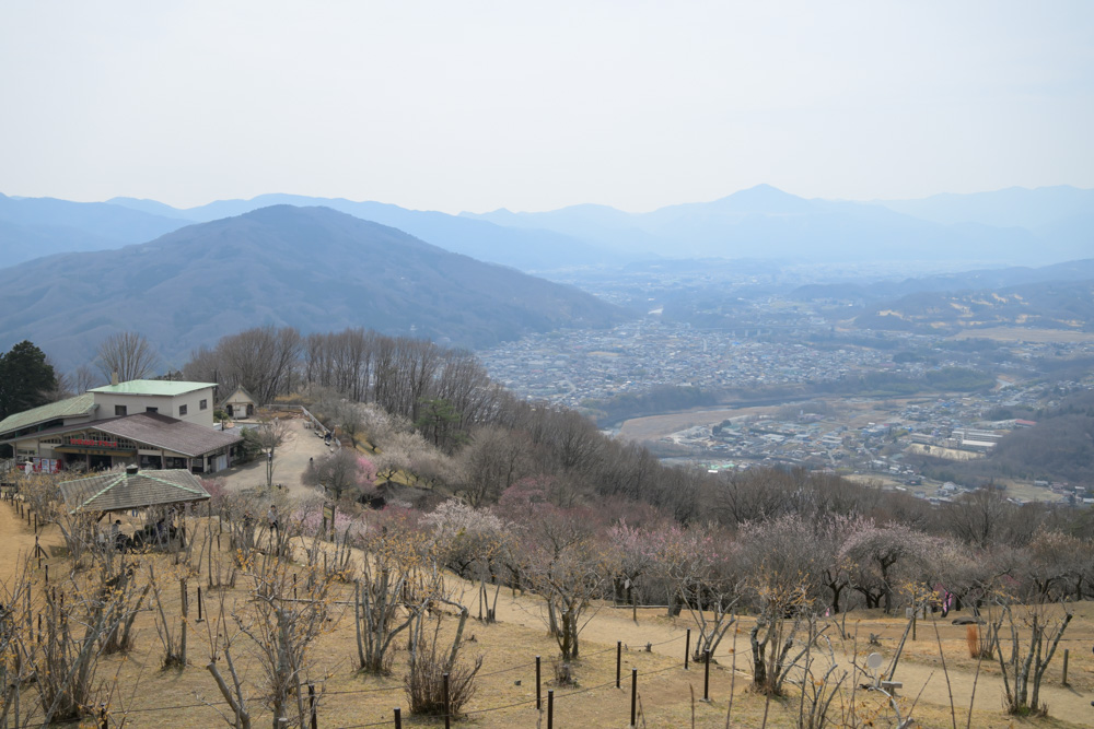 宝登山からの武甲山が見える景色
