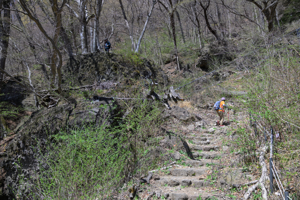 妙義山 見晴台へ向かう途中の登山道と自然に囲まれた風景