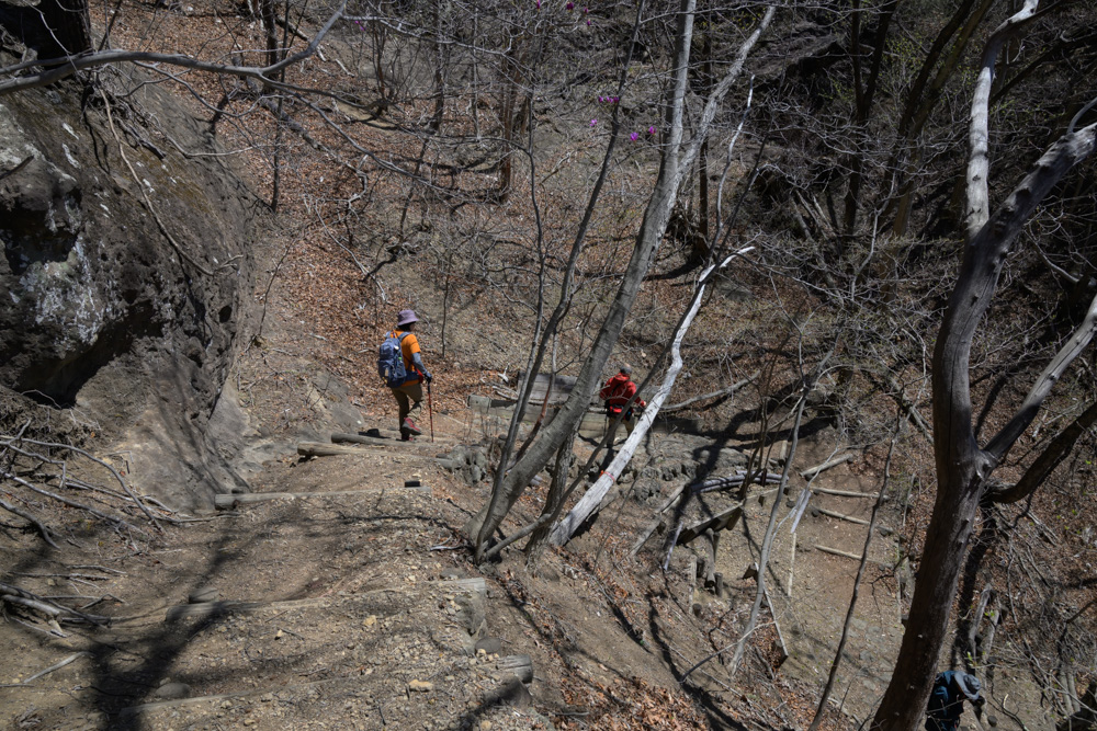 新緑が気持ちいい妙義山 中之岳神社方面へ下る登山道の風景