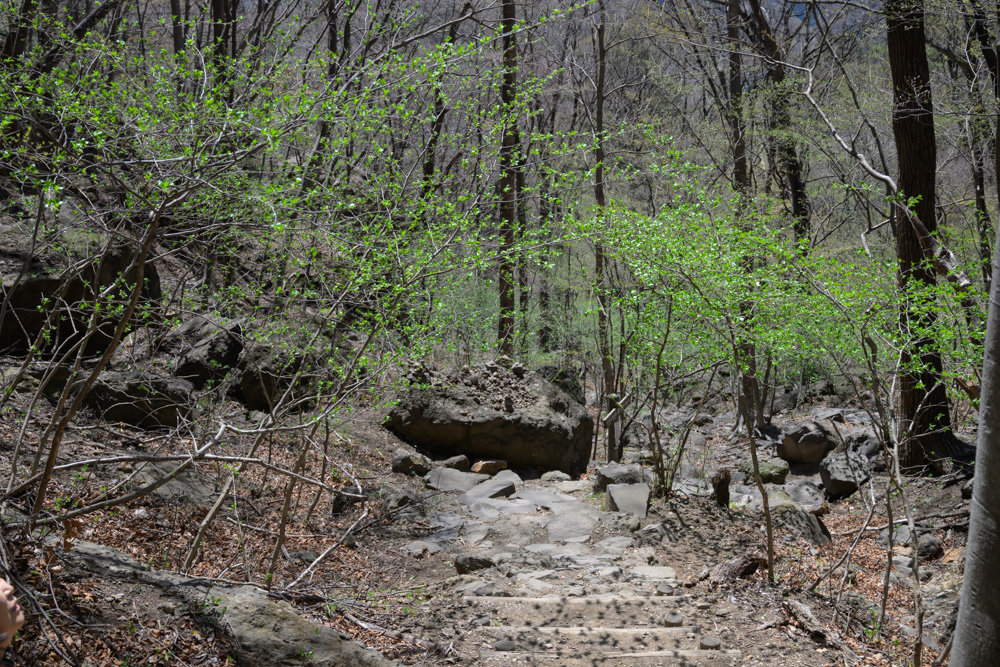 新緑が気持ちいい妙義山 中之岳神社方面へ下る登山道の風景