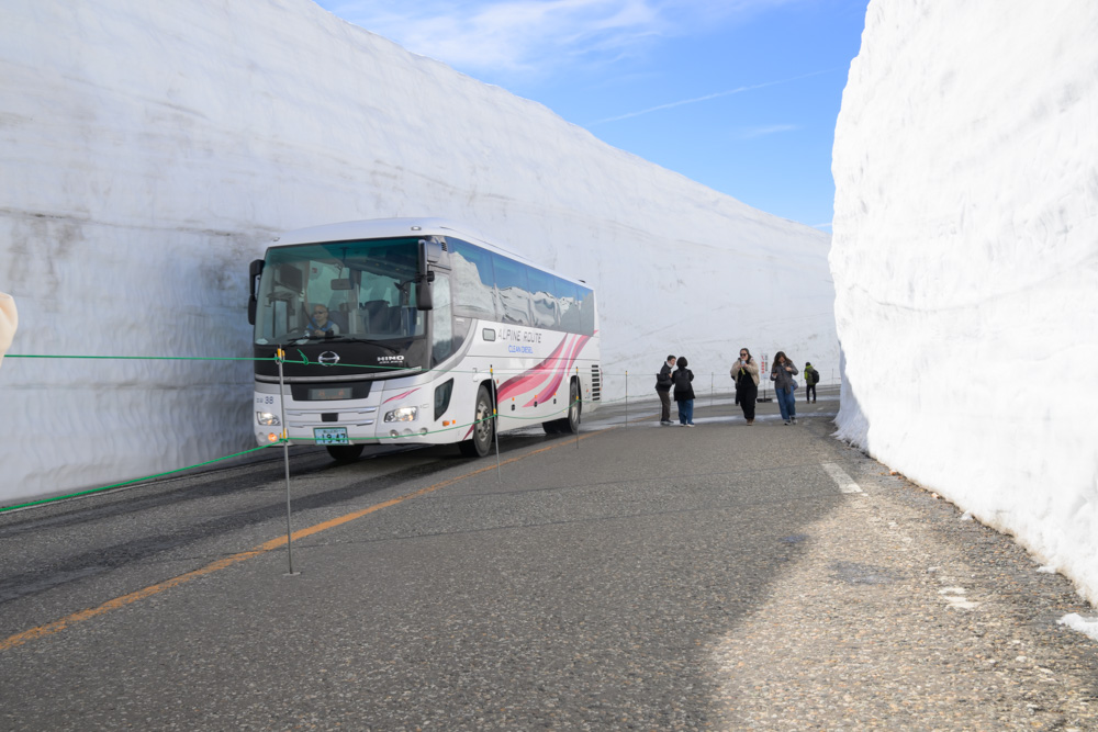 立山 雪の大谷の高い雪壁の間を走る観光バスの風景