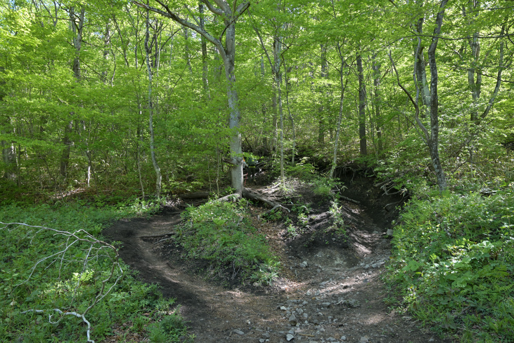 榛名富士登山口付近の急な登り坂の様子。登山開始直後から傾斜のある道が続いており、初心者でもゆっくりペースで登るのがおすすめのコース。