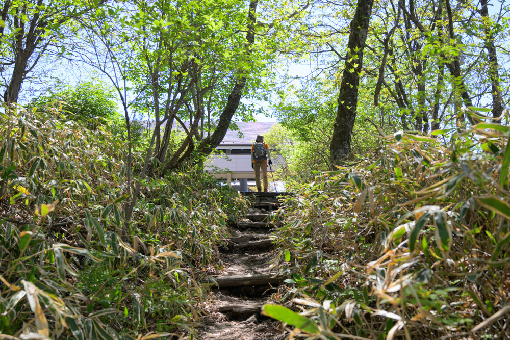 ロープウェイ乗り場まであと少しとなった榛名富士の登山道。新緑に囲まれた道が続き、山頂へ近づくワクワク感を感じられる景色。