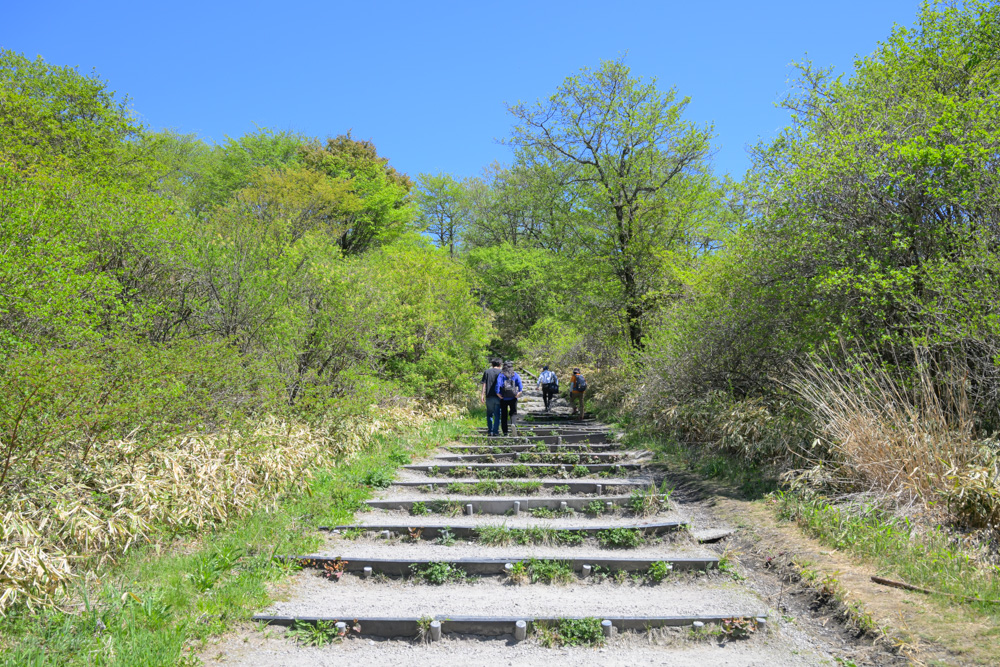 榛名富士山頂へ続く階段を登る登山者の様子。新緑に囲まれた階段を進みながら、山頂を目指して歩いている風景。