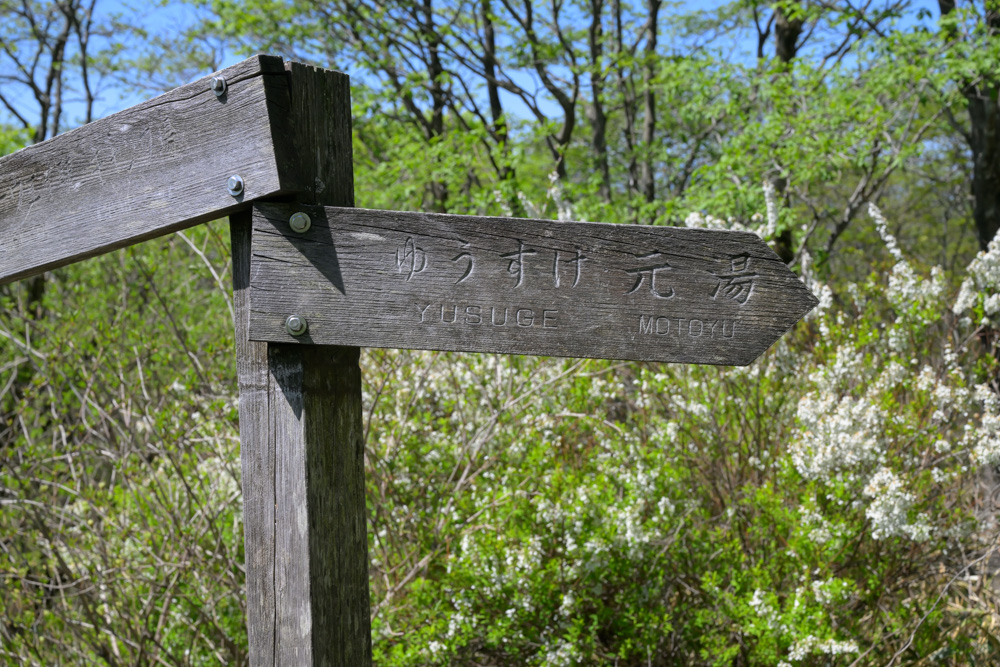 「ゆうすげの道」と書かれた案内看板が設置された登山道の分岐。榛名富士からの下山ルートを示しており、周囲は新緑に囲まれている。