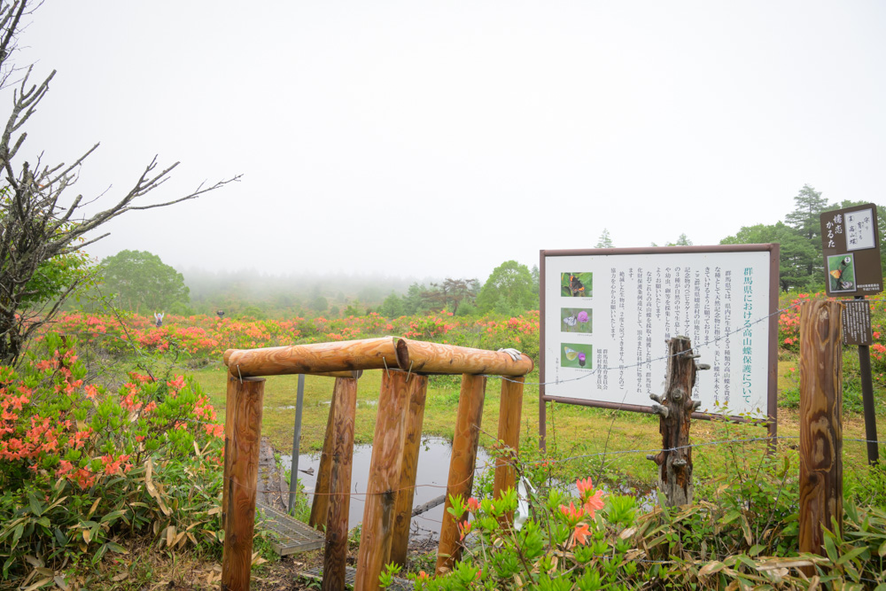 湯の丸高原にある「つつじ平」の案内看板。レンゲツツジ群生地への入口で、多くの観光客や登山者が訪れる人気スポット。