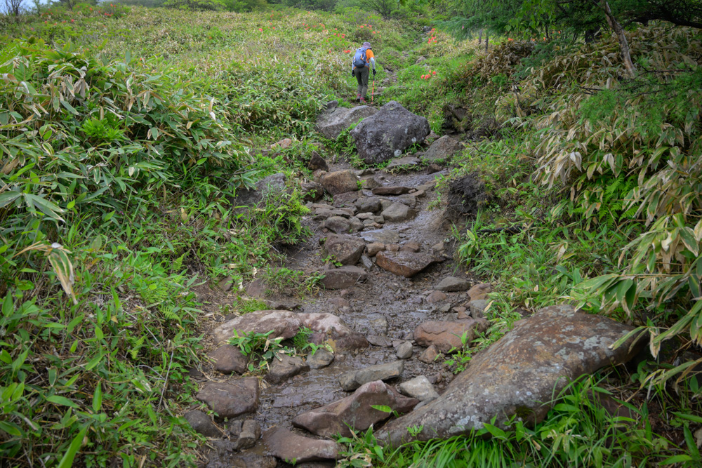 湯の丸山山頂へ続く岩場の急登。初心者向けの山ながら登りごたえもあり、本格的な登山気分を楽しめる登山道。