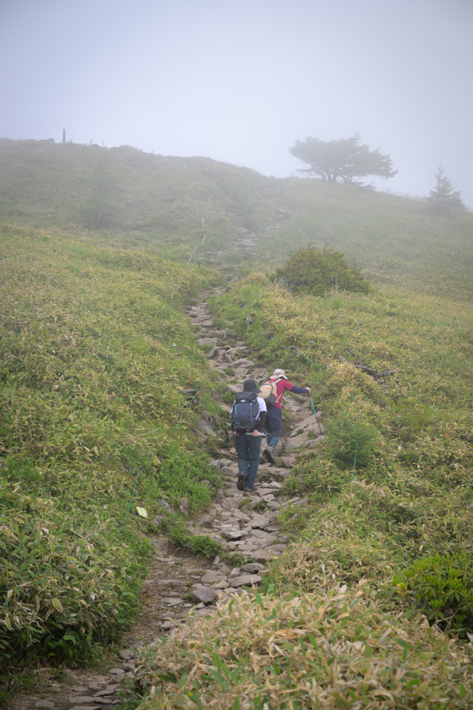 湯の丸山の山頂まであと少しの急登。ガスが漂う幻想的な登山道を登りながら初心者登山の達成感を味わえる風景。