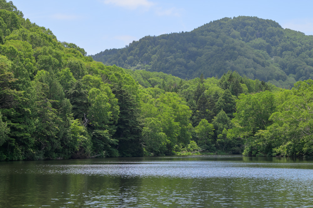 長池を囲む緑豊かな山々の眺め。