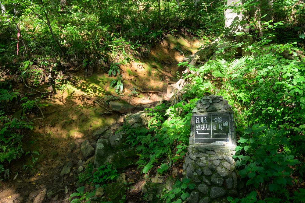 西黒尾根登山道にある石の道標。谷川岳西黒尾根入口と一ノ倉沢方面の分岐を示している