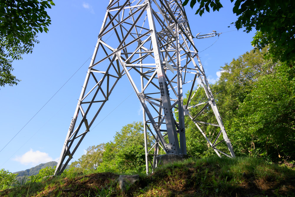 西黒尾根の樹林帯にそびえる送電鉄塔。青空に向かって伸びている