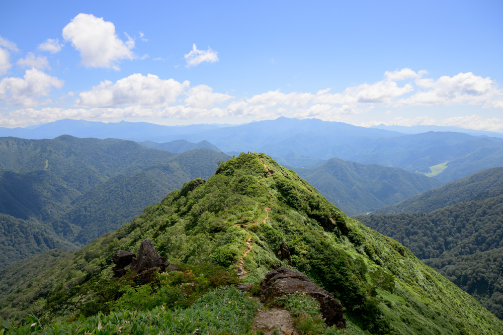 西黒尾根の稜線から見える絶景。緑の尾根道が続き、遠くまで山並みが広がっている