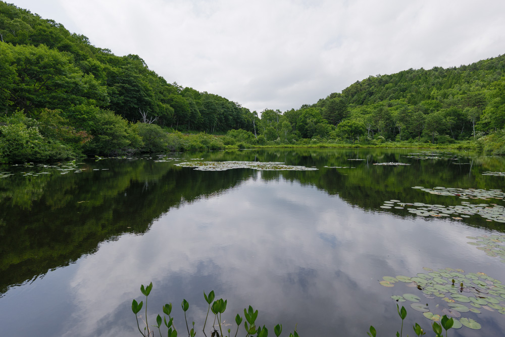 一沼の穏やかな水面。周囲を緑の山に囲まれ、水面には睡蓮の葉が浮かんでいる。