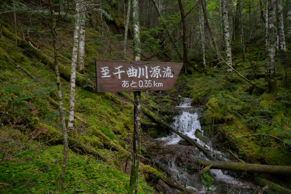 「至 千曲川源流 あと0.35km」の道標と、苔の斜面を流れる細い沢