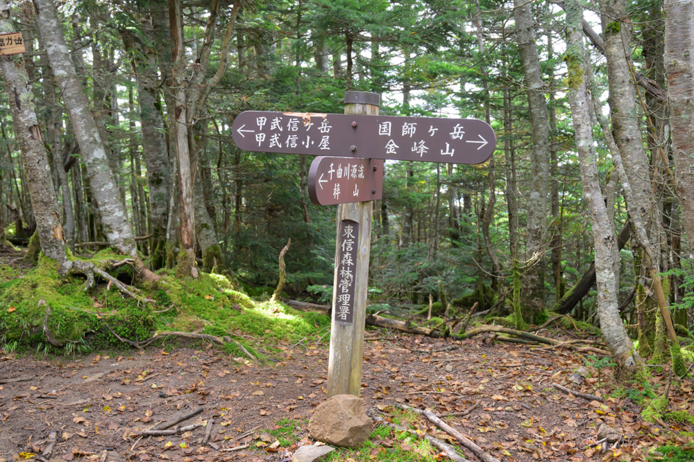 「甲武信ヶ岳・甲武信小屋」「国師ヶ岳・金峰山」「千曲川源流・梓山」を示す分岐の道標