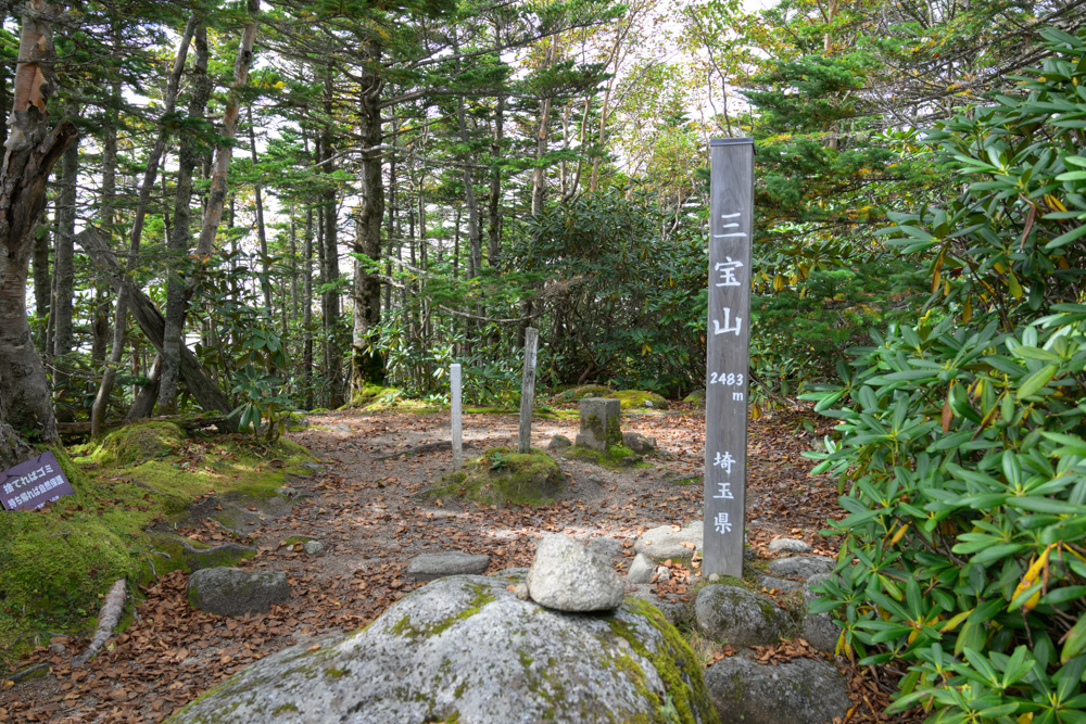 「三宝山 2483m 埼玉県」の標柱がある山頂