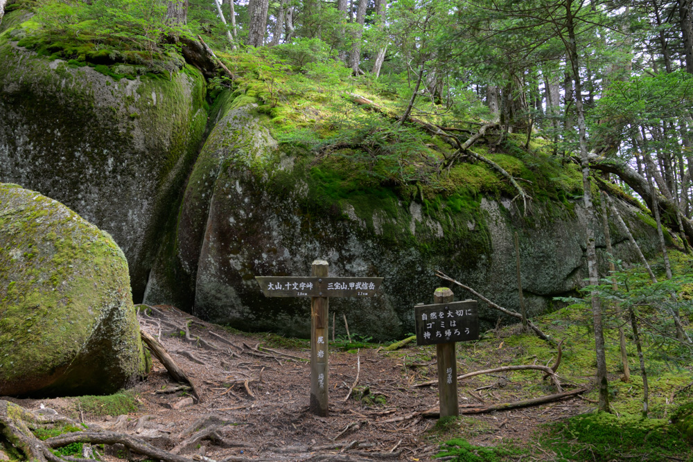 苔に覆われた大きな岩の前に立つ「大山・十文字峠」「三宝山・甲武信岳」の道標