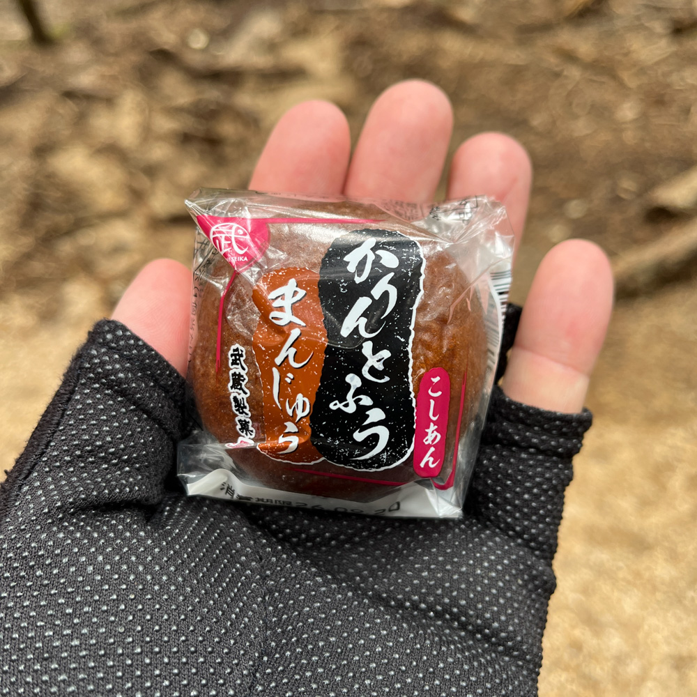 手のひらにのせた、こしあんのかりんとう饅頭