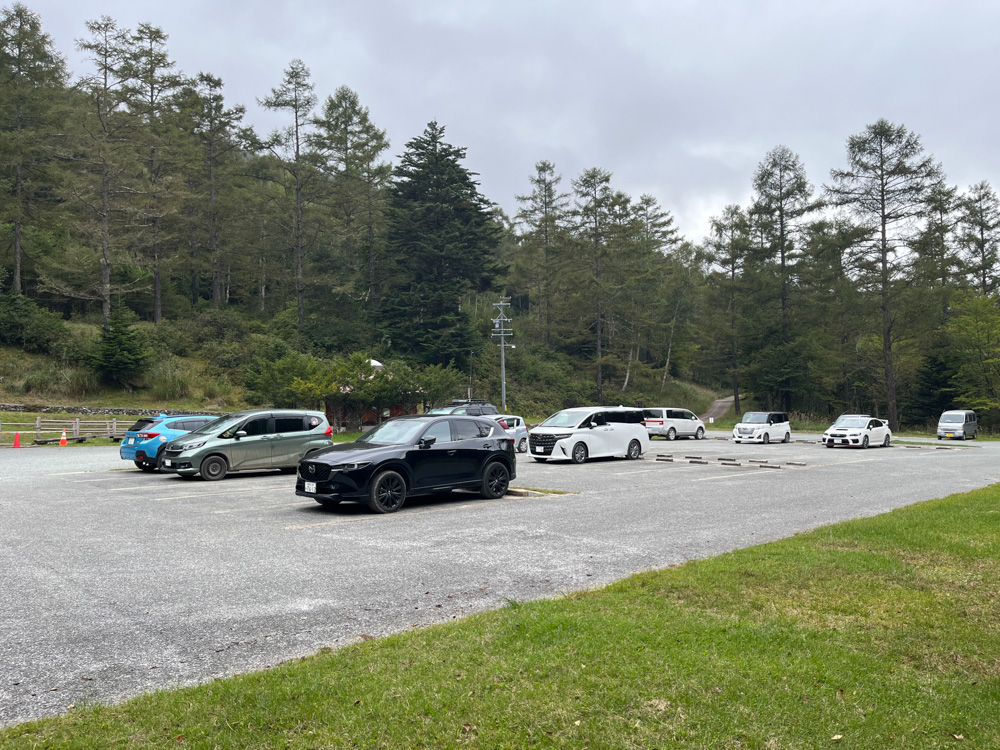 登山口の広い駐車場に並ぶ車と、奥に広がる針葉樹の林